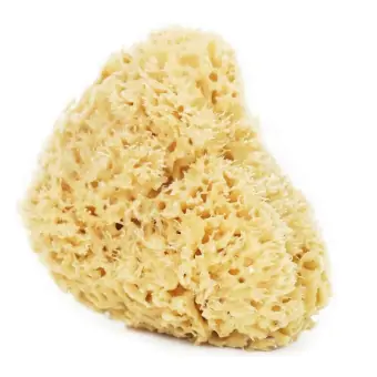 LullaLove Naturalna gąbka morska do twarzy i ciała super size XXL cena 94,90zł