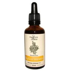 Nanga Artemizyna bylica roczna 50ml cena 39,90zł