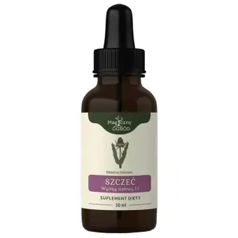 Magiczny Ogród Szczeć nalewka 1:1 100ml Nanga cena 35,90zł