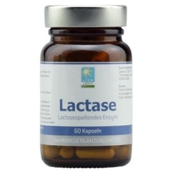 Life Light Laktaza 60kapsułek Long Life Foundation cena 110,00zł