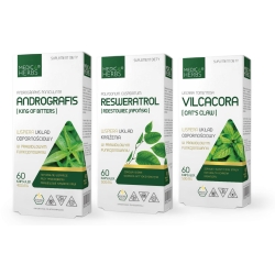Medica Herbs PROTOKÓŁ 3x60kapsułek - podstawowy z Andrographisem cena 42,95zł