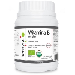 Kenay Witamina B complex 240kapsułek cena 255,00zł