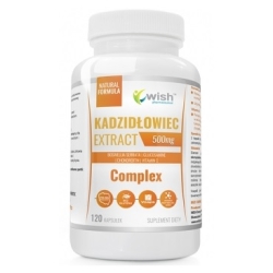Wish Pharmaceutical Kadzidłowiec Complex Ekstrakt 500mg 120kapsułek cena 64,90zł