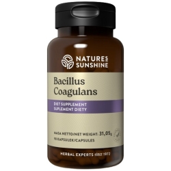 Nature's Sunshine Bacillus Coagulans 90kapsułek cena 124,90zł