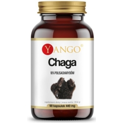 Yango Chaga Ekstrakt 10% Polisacharydów 90kapsułek cena 61,90zł
