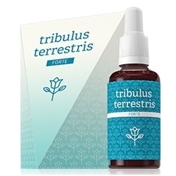 Tribulus terrestris krople 30ml Energy cena 87,00zł