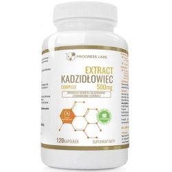 Kadzidłowiec Complex Ekstrakt 500mg 120 kapsułek Progress Labs cena 63,00zł