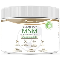 MSM Siarka Organiczna w Proszku 250g Progress Labs cena 21,00zł