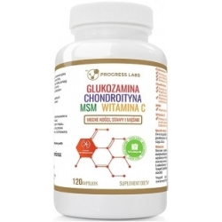 Glukozamina, Chondroityna, MSM, Witamina C 120 kapsułek Progress Labs cena 52,90zł