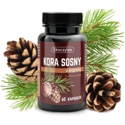 Skoczylas Kora Sosny z L-argininą 60kapsułek cena 139,00zł