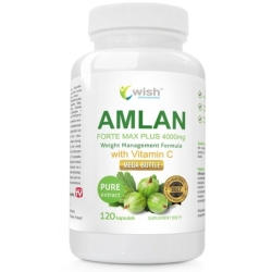 Wish Pharmaceutical Amlan Forte Max Plus 4000mg Agrest Indyjski 120kapsułek cena 32,90zł