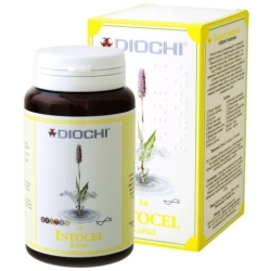 Diochi Intocel 90kapsułek PROMOCJA cena 129,99zł