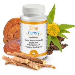 Dr Jacobs Silne nerwy (różenieć górski, grzyb reishi, ashwagandha) 100kapsułek cena 78,90zł