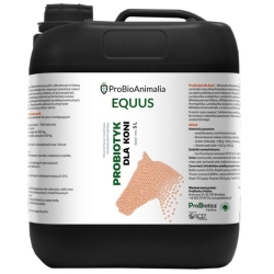 ProBiotics Equus probiotyk dla koni płyn 5 litrów ProBioAnimalia cena 132,00zł