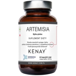 Artemisia Bylica piołun 60kapsułek Kenay cena 51,90zł