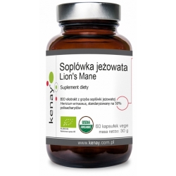 Soplówka jeżowata Lion's Mane 60kapsułek Kenay cena 74,90zł