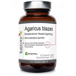 Agaricus blazei Pieczarka brazylijska 60kapsułek vege Kenay cena 65,00zł