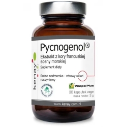 Pycnogenol® Ekstrakt z kory francuskiej sosny morskiej 30kapsułek Kenay cena 99,00zł