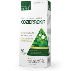 Medica Herbs Kozieradka 520mg 60kapsułek cena 20,90zł