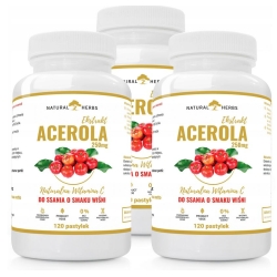 3 x Natural Herbs Acerola 250mg Naturalna Witamina C do ssania 120pastylek Alto Pharma cena 58,80zł