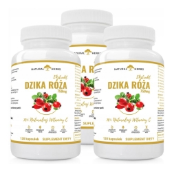 3 x Natural Herbs Ekstrakt dzika róża 70% naturalna witamina c do ssania 120tabletek Alto Pharma