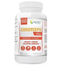 Wish Pharmaceutical Cordyceps 750mg ekstrakt z owoców maczużnika chińskiego Vege 120kapsułek cena 35,90zł