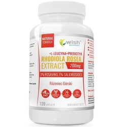 Wish Pharmaceutical Rhodiola Różeniec Górski 200mg ekstrakt 3% Rosawin i 1% Salidrozydów 120kapsułek cena 44,90zł