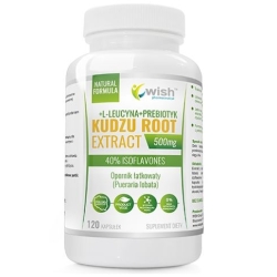 Wish Pharmaceutical Kudzu Root Extract 500mg 40% isoflavones 120kapsułek PROMOCJA cena 44,80zł