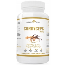 Natural Herbs Cordyceps 750mg ekstrakt z owoców maczużnika chińskiego 120kapsułek Alto Pharma cena 37,99zł