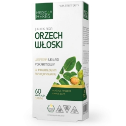 Medica Herbs Orzech Włoski 520mg 60kapsułek cena 24,95zł