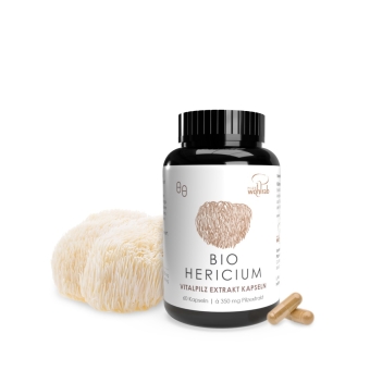 Grzyby hericium (Soplówka jeżowata) 100kapsułek BIO Pilze Wohlrab cena 79,39zł