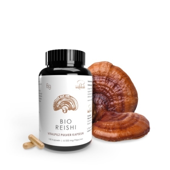 Grzyby reishi (Lakownica lśniąca) 100kapsułek BIO Pilze Wohlrab cena 79,39zł