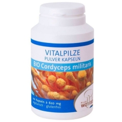 Grzyby cordyceps militaris (Maczużnik bojowy) BIO 500mg 100kapsułek Pilze Wohlrab cena 98,00zł