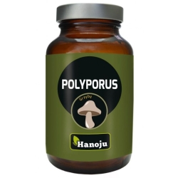 Hanoju Polyporus 30% ekstrakt 400mg 90tabletek cena 97,90zł