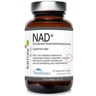 NAD+ Dinukleotyd nikotynoamidoadeninowy 30kapsułek Kenay cena 259,00zł