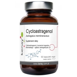 Cycloastragenol 60kapsułek Kenay cena 229,00zł