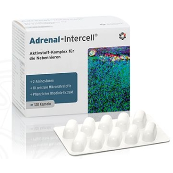 Dr Enzmann Adrenal-Intercell 120kapsułek Mito-Pharma cena 194,90zł