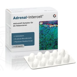 Dr Enzmann Adrenal-Intercell 120kapsułek Mito-Pharma cena 197,00zł