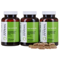 3 x Juvenil plus błonnik 180kapsułek (540kapsułek) cena 249,00zł