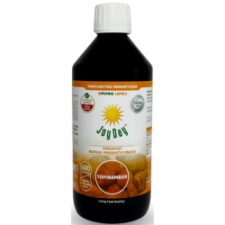 Joy Day Koncentrat probiotyczny Topinambur (NOWA GENERACJA) 500ml cena 49,65zł