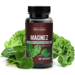 Skoczylas Magnez 4 formy magnezu + Witamina B6 (Szpinak + Jarmuż) 60kapsułek cena 36,00zł