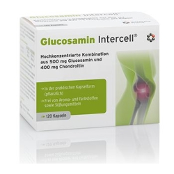 Dr Enzmann Glucosamin-Intercell 120kapsułek Mito-Pharma cena 190,00zł