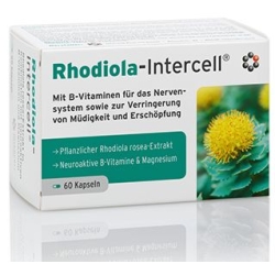 Dr Enzmann Rhodiola-Intercell 60kapsułek Mito-Pharma cena 148,00zł