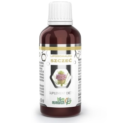 B&M Szczeć pospolita (Dipsacus sylvestris) liposomalna płyn 50ml    cena 78,00zł