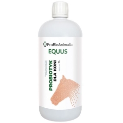 ProBiotics Equus probiotyk dla koni płyn 1 litr ProBioAnimalia cena 46,00zł