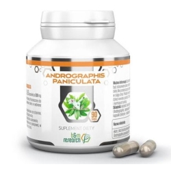 B&M Andrographis Paniculata 90kapsułek Botanical & Medicinal Research cena 42,90zł