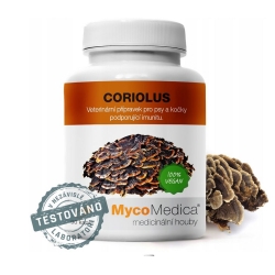 Coriolus Wrośniak Różnobarwny 90kapsułek MycoMedica cena 113,90zł