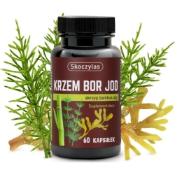Skoczylas Krzem Bor Jod Skrzyp + Bambus + Algi 60kapsułek cena 35,90zł