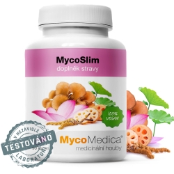 MycoSlim 90kapsułek MycoMedica cena 144,00zł