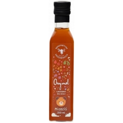 Miodziś Oxymel łagodny dla dzieci 250ml Pasieki Rodziny Sadowskich cena 54,85zł